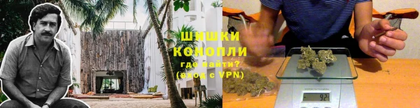 метадон Богданович