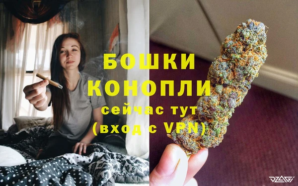 метадон Богданович