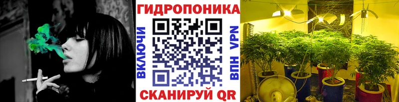 Канабис семена  где купить наркоту  Каменногорск 